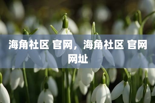 海角社区 官网，海角社区 官网网址