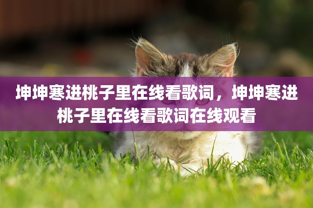 坤坤寒进桃子里在线看歌词，坤坤寒进桃子里在线看歌词在线观看