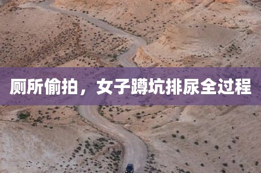 厕所偷拍，女子蹲坑排尿全过程