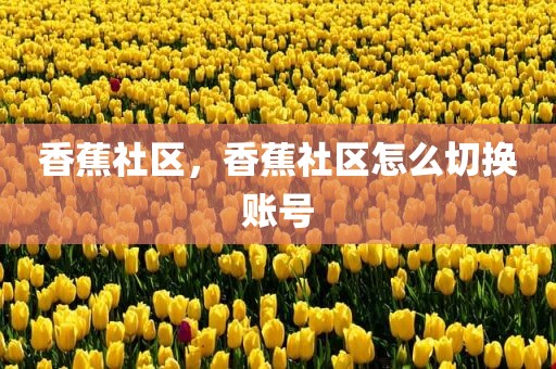 香蕉社区，香蕉社区怎么切换账号