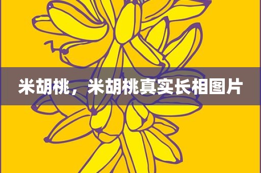米胡桃，米胡桃真实长相图片
