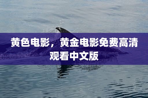 黄色电影，黄金电影免费高清观看中文版
