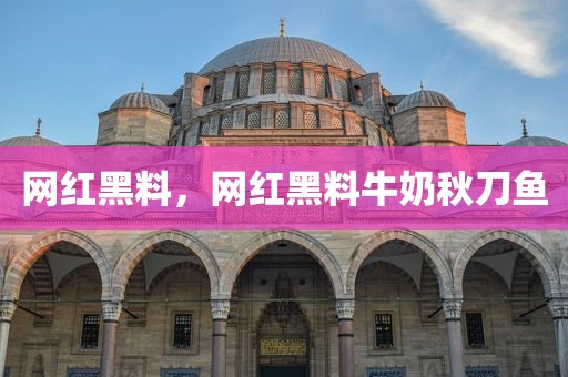 网红黑料，网红黑料牛奶秋刀鱼