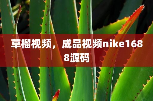 草榴视频，成品视频nike1688源码