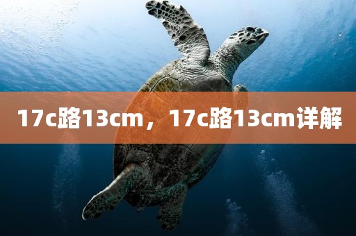 17c路13cm，17c路13cm详解