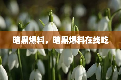 暗黑爆料，暗黑爆料在线吃