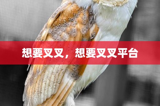 想要叉叉，想要叉叉平台