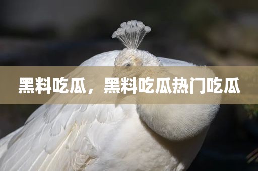 黑料吃瓜，黑料吃瓜热门吃瓜