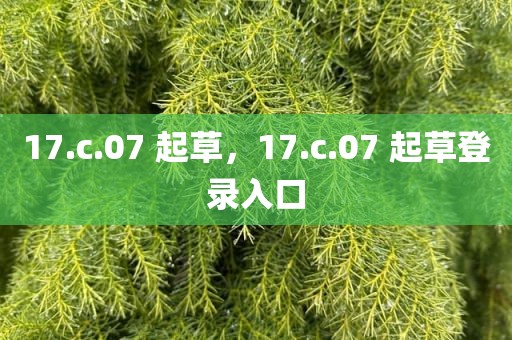 17.c.07 起草，17.c.07 起草登录入口