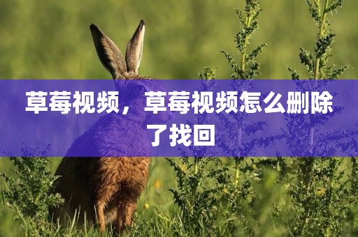 草莓视频，草莓视频怎么删除了找回