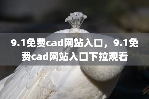 9.1免费cad网站入口，9.1免费cad网站入口下拉观看