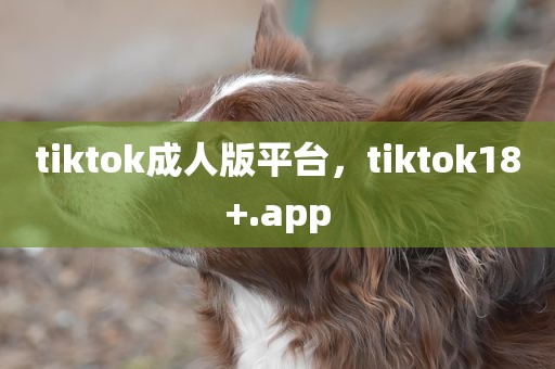 tiktok成人版平台，tiktok18+.app