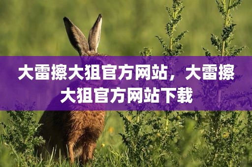 大雷擦大狙官方网站，大雷擦大狙官方网站下载