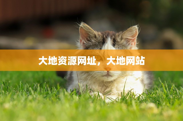 大地资源网址，大地网站