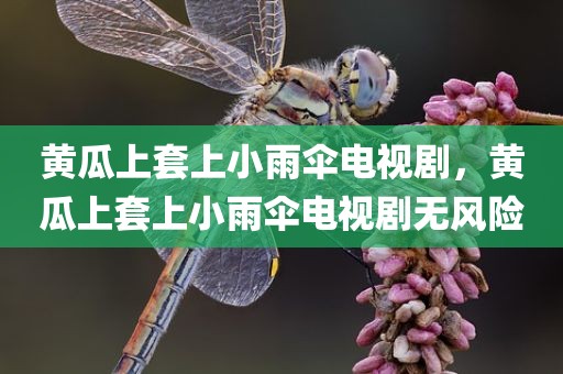黄瓜上套上小雨伞电视剧，黄瓜上套上小雨伞电视剧无风险