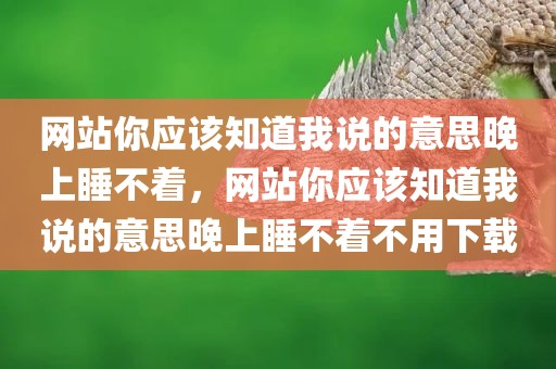 网站你应该知道我说的意思晚上睡不着，网站你应该知道我说的意思晚上睡不着不用下载