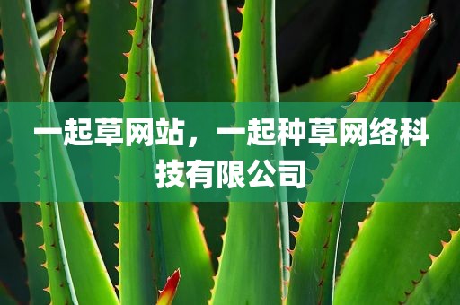 一起草网站，一起种草网络科技有限公司