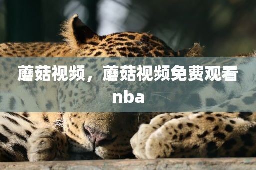 蘑菇视频，蘑菇视频免费观看nba