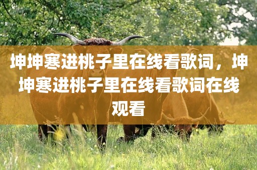 坤坤寒进桃子里在线看歌词，坤坤寒进桃子里在线看歌词在线观看