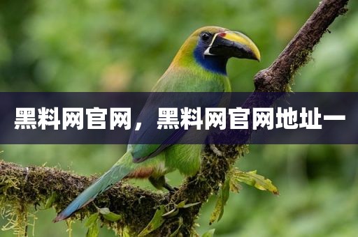 黑料网官网，黑料网官网地址一