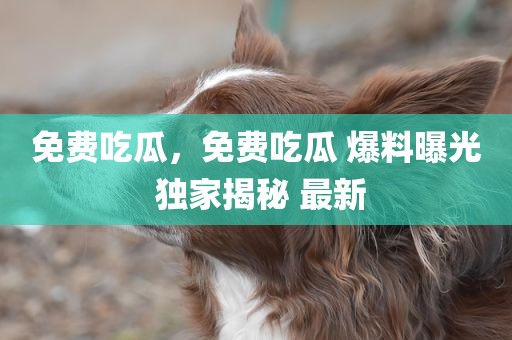免费吃瓜，免费吃瓜 爆料曝光 独家揭秘 最新