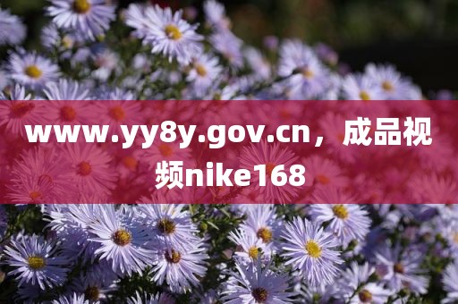 www.yy8y.gov.cn，成品视频nike168