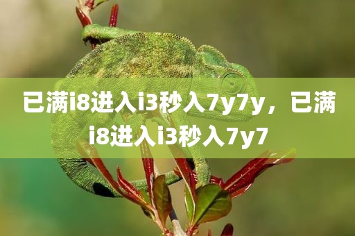 已满i8进入i3秒入7y7y，已满i8进入i3秒入7y7