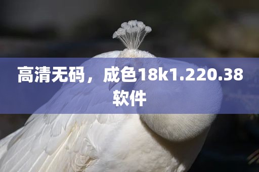 高清无码，成色18k1.220.38软件