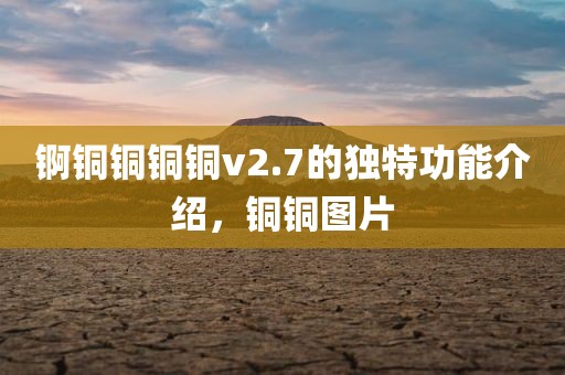 锕铜铜铜铜v2.7的独特功能介绍，铜铜图片