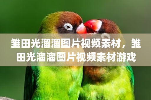 雏田光溜溜图片视频素材，雏田光溜溜图片视频素材游戏