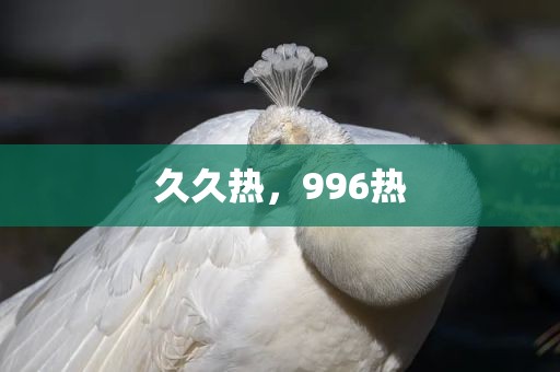 久久热，996热