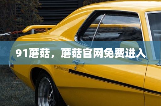91蘑菇，蘑菇官网免费进入