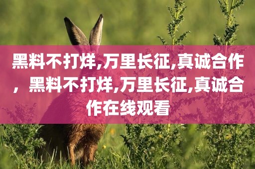 黑料不打烊,万里长征,真诚合作，黑料不打烊,万里长征,真诚合作在线观看