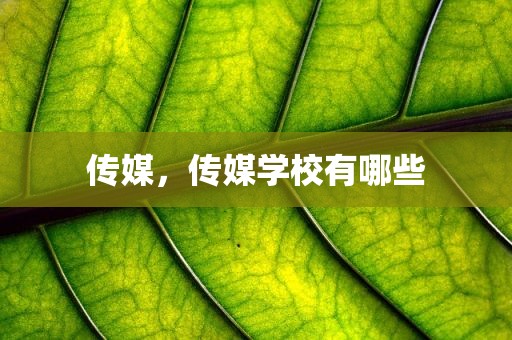 传媒，传媒学校有哪些