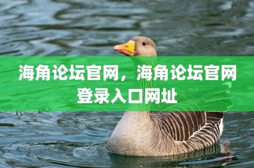 海角论坛官网，海角论坛官网登录入口网址