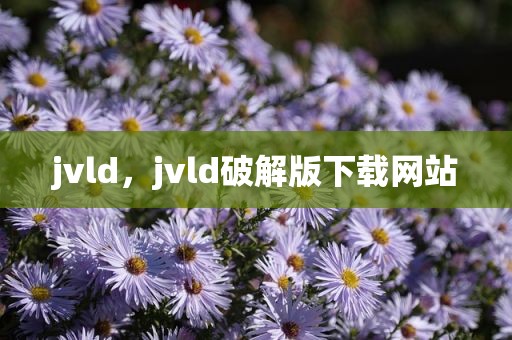 jvld，jvld破解版下载网站