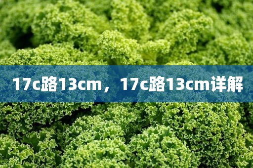 17c路13cm，17c路13cm详解