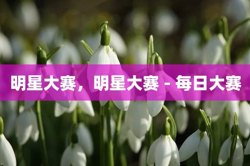 明星大赛，明星大赛 - 每日大赛