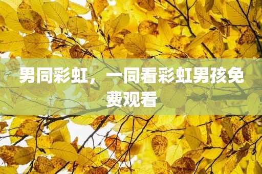 男同彩虹，一同看彩虹男孩免费观看