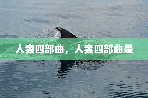 人妻四部曲，人妻四部曲是