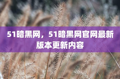 51暗黑网，51暗黑网官网最新版本更新内容