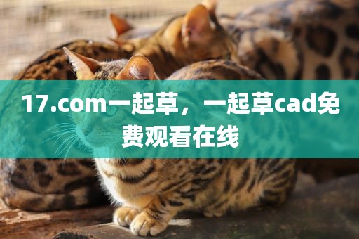 17.com一起草，一起草cad免费观看在线