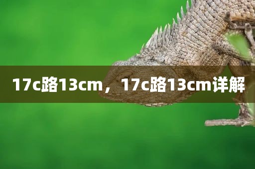 17c路13cm，17c路13cm详解
