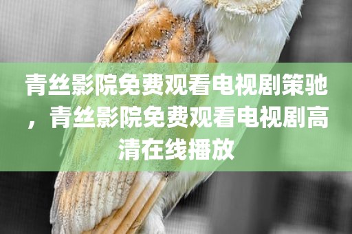 青丝影院免费观看电视剧策驰，青丝影院免费观看电视剧高清在线播放