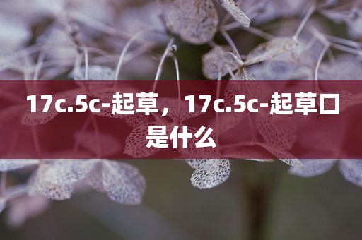 17c.5c-起草，17c.5c-起草口是什么