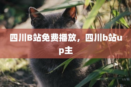 四川B站免费播放，四川b站up主