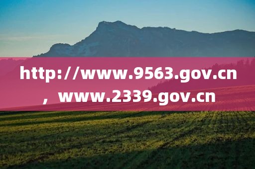 http://www.9563.gov.cn，www.2339.gov.cn