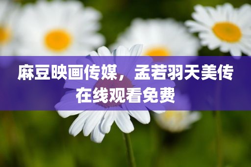 麻豆映画传媒，孟若羽天美传在线观看免费
