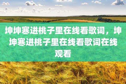 坤坤寒进桃子里在线看歌词，坤坤寒进桃子里在线看歌词在线观看