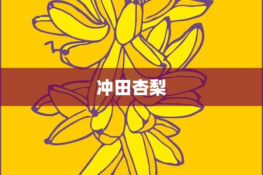 冲田杏梨